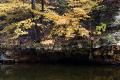 Autumn in the QC